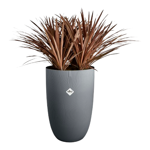 sereh hoog 30cm antraciet